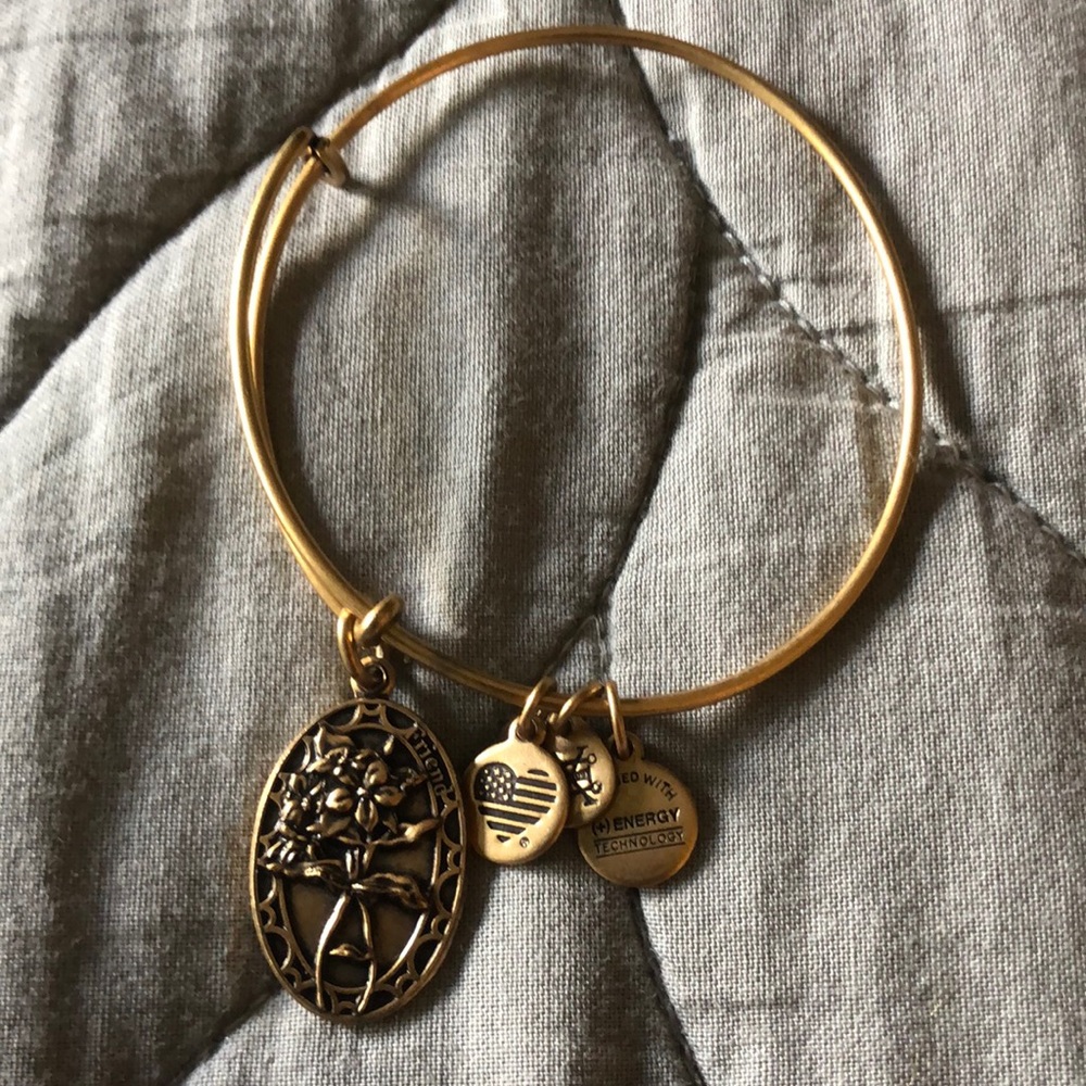Alex and Ani Friend Because I love you, Friend II Expandable Charm Bracelet